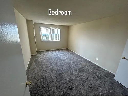 9727 Mount Pisgah Rd — Photo 159