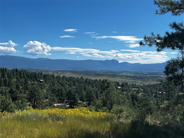 Shroyer Dr, Los Ojos, NM 87551