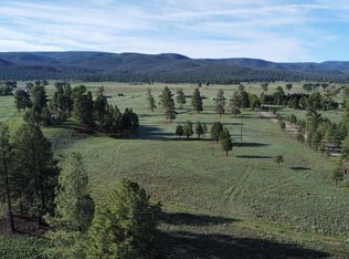 26 Laney Ave, Luna, NM 87824