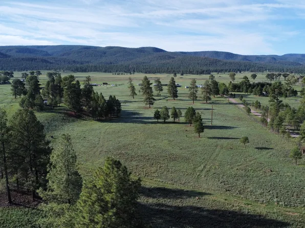 26 Laney Ave, Luna, NM 87824