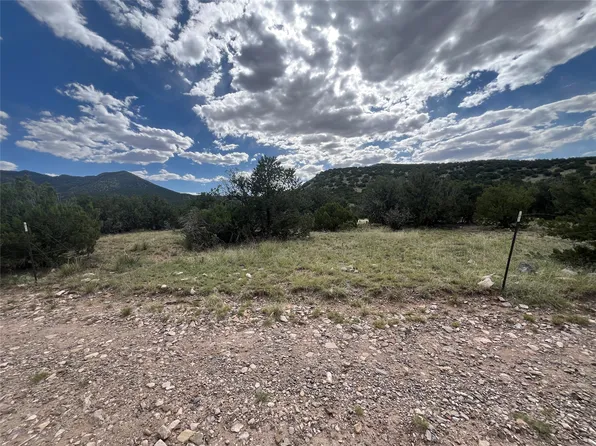 185 Stoney Rd, Cerrillos, NM 87010