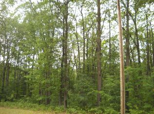 1601 Allard Acres Road Parcel #12, Lewiston, MI 49756