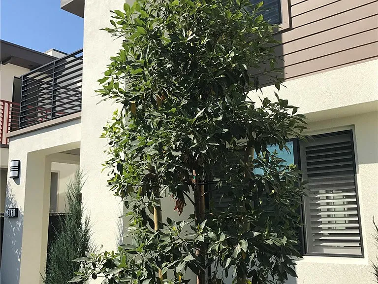 218 Terrapin — Photo 1