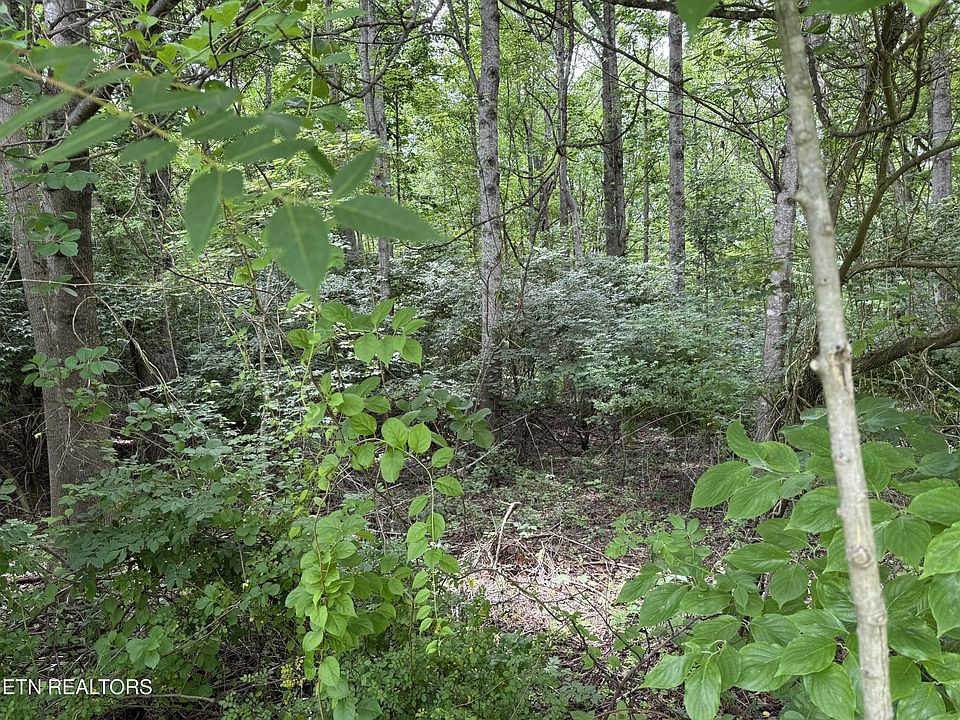2nd image of 0 Lollar Dr Lot 29
