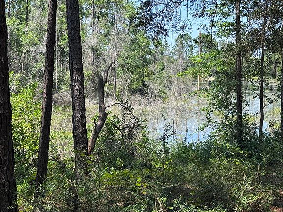 3rd image of 1154 Oakwood Lakes Blvd