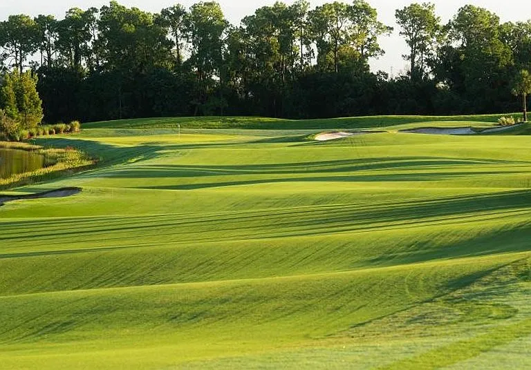 Hole #5 Commander Course