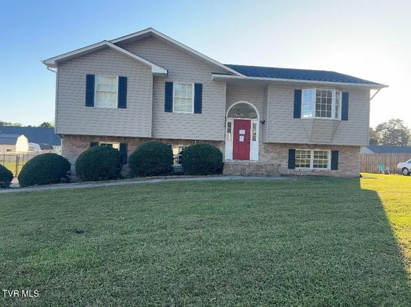 153 Nicole Dr, Mt Carmel, TN 37645