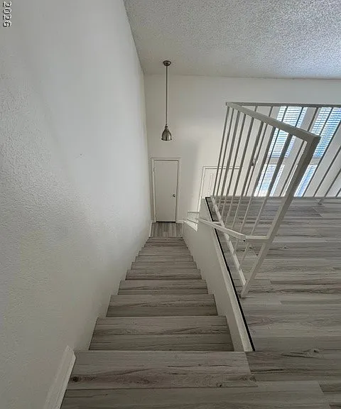3812 Fitzpatrick Dr — Photo 12