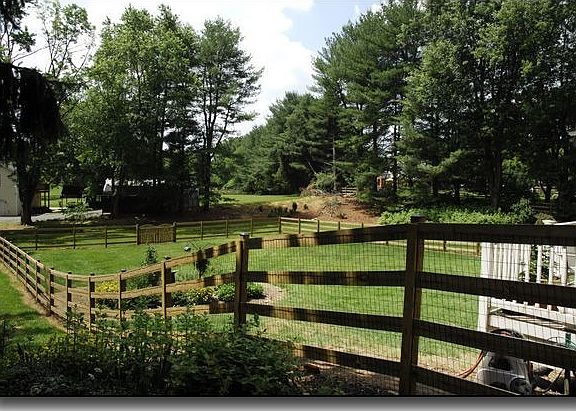 Backyard from Top of the Driveway