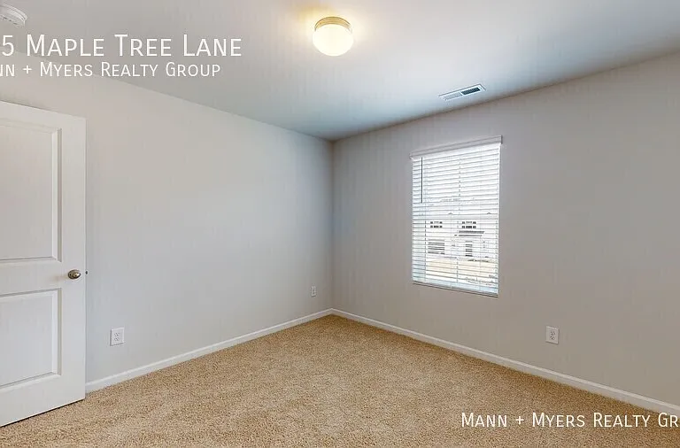 135 Maple Tree Ln — Photo 25