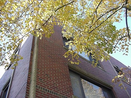 Exterior Photo