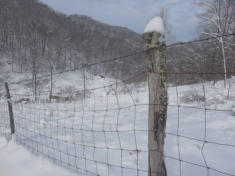 97th image of this home