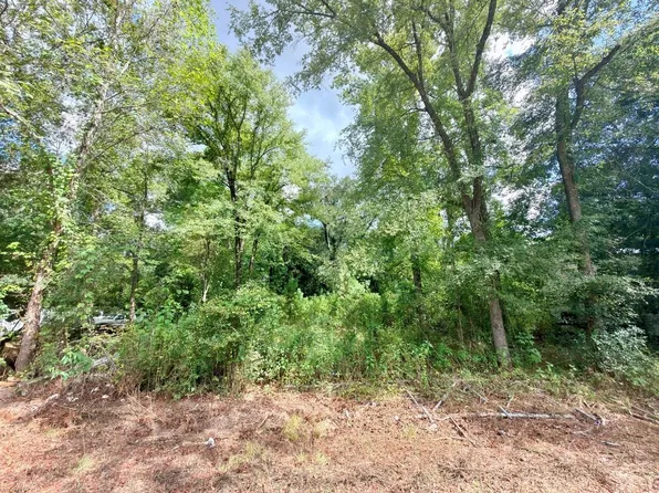 10839 River Dr Lot 9, Conroe, TX 77385