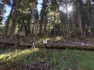18 Elk Spgs, Cloudcroft, NM 88317