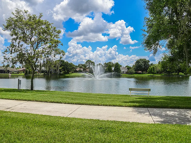 Scenic Lakeside Walking Trail