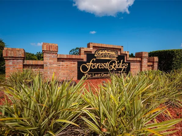 1805 Wood Bend St, Tarpon Springs, FL 34689