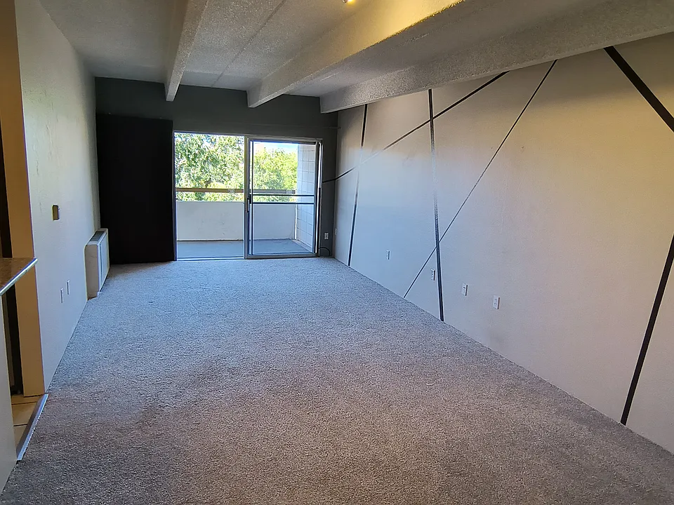 551 N Pearl St #505