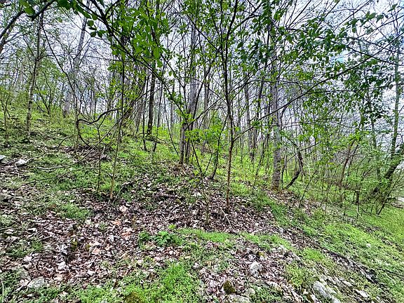 4th image of 0 Lakeview Dr Lot 90
