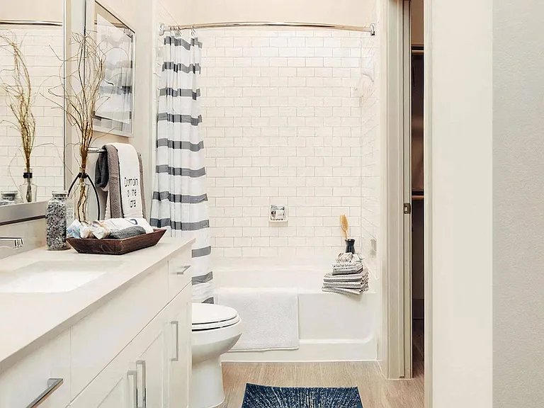 Elegant Bathroom Featuring Soaking Tub and Walk-In Closet Access