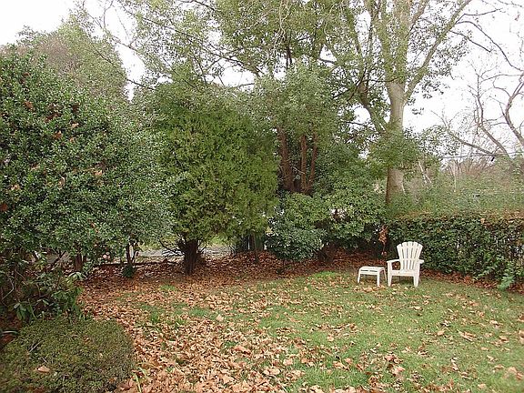 Main Home front yard