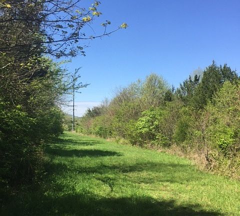 3rd image of 0 Old Charlotte Park E