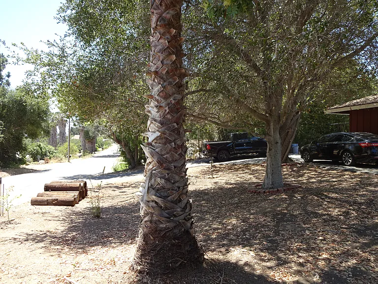 943 Oak Ave — Photo 11