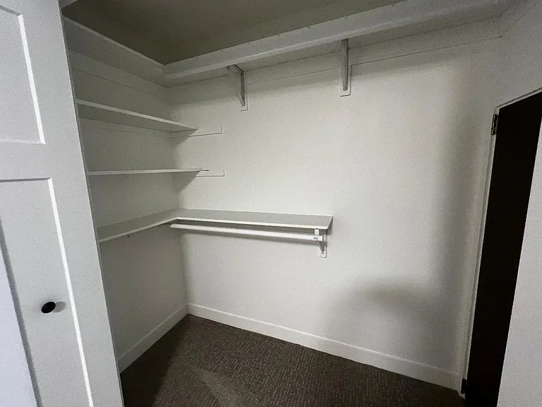 Bonus room Closet