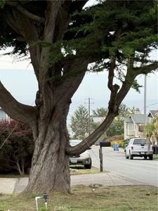 370 Castle St #6, Cambria, CA, 93428