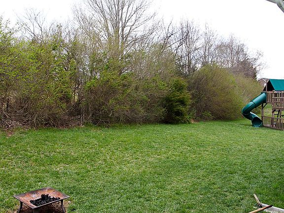View from the back deck