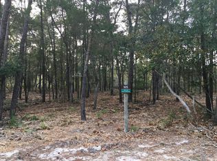 1615 Sharks Tooth Trl, Panama City Beach, FL 32413