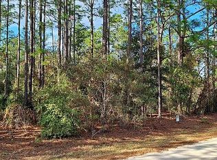 SW 128th Terrace Rd Lot 13, Ocala, FL 34481