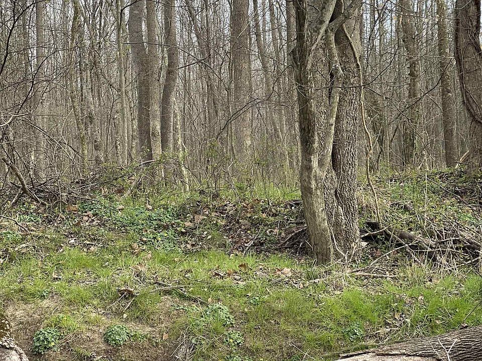 2nd image of 0 Cavel Chub Lake Rd