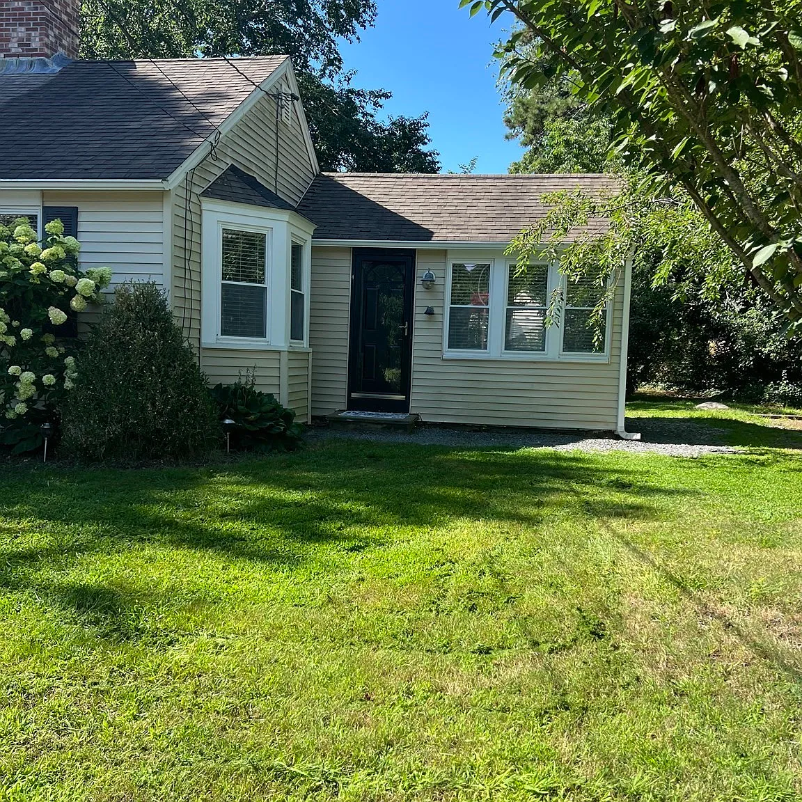 2 bed, 1.0 bath, 1000 sqft, $2,250 — Photo 3