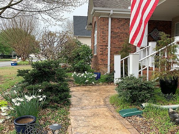 Spring flowers at the front 