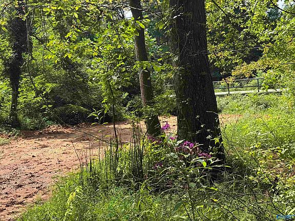 5th image of 37 Monte Sano Blvd SE