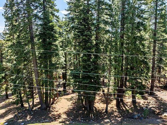 3rd image of 12972 Muhlebach Way