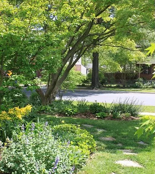 Pathway to driveway