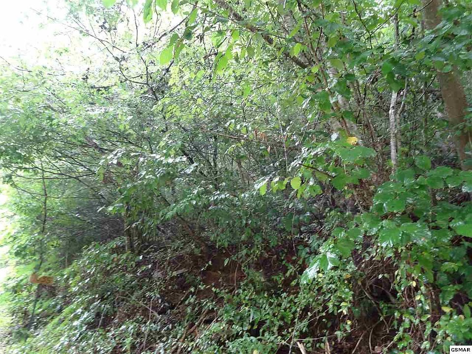 2nd image of Dunn Creek Rd