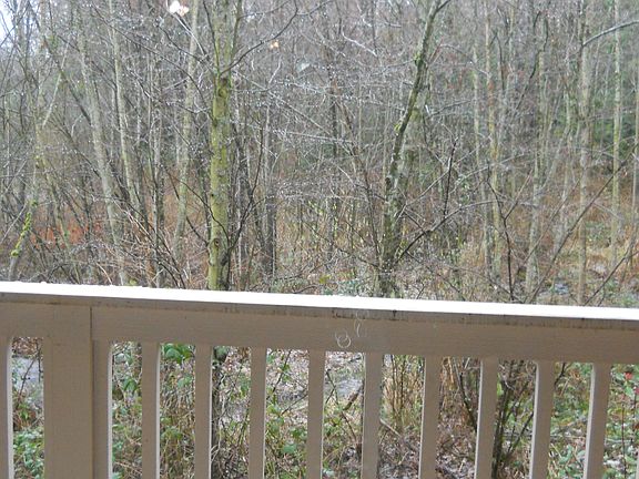 Greenbelt behind Deck