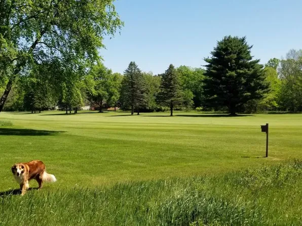 7404 Regency Ln, Stanwood, MI 49346