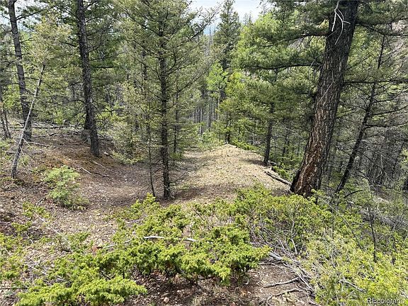 3rd image of Lot 6795 Starkweather Road LOT 6795