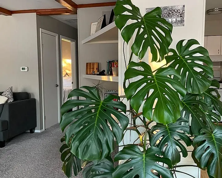 902 E Burkwood Dr — Photo 10