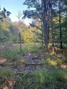 N 72/eagle, Hart, MI, 49420