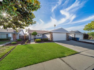4522 Queen Anne Dr, Union City, CA, 94587