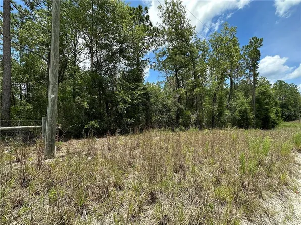 NW 17th Ct Lot 12, Bell, FL 32619