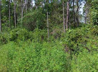 10425 Amos Ave, Hastings, FL 32145