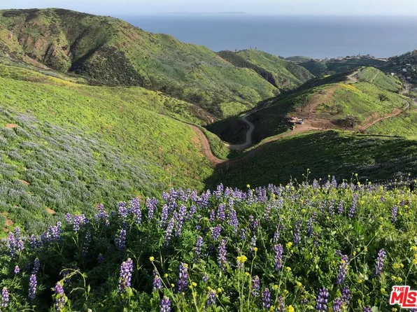 3900 Latigo Canyon Rd, Malibu, CA 90265
