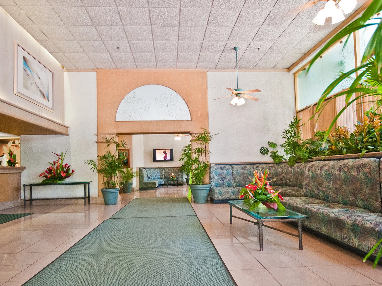 229 Paoakalani Ave — Photo 4