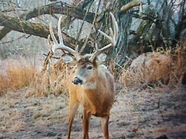 N3953-89 Bear Pen Road, Arkansaw, WI 54721