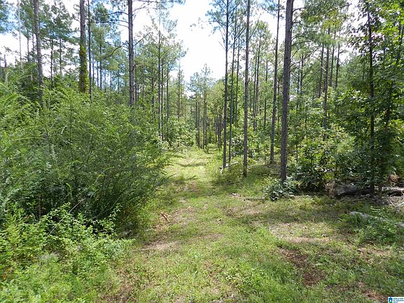 2nd image of 308 County Road 1039 #6